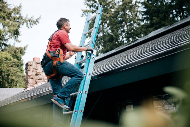 Best Storm Damage Roof Repair  in Franklin Furnace, OH